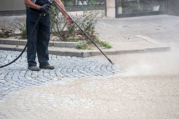 Best Animal Enclosure Cleaning  in Holly Springs, NC