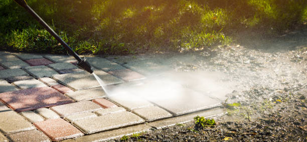 Best Solar Panel Cleaning  in Holly Springs, NC
